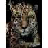 Картина с кристалами Сваровски символ года "Тигр"