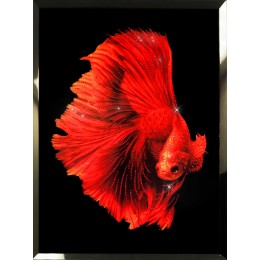 Картина Сваровски "Красная рыба"