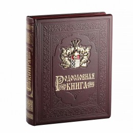 Родословная книга Гербовая с литым дворянским гербом