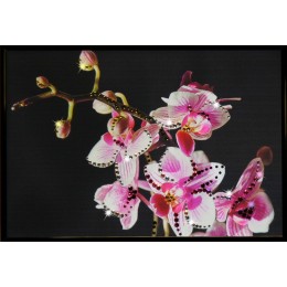 Картина с кристалами Swarovski "Маленькая орхидея"