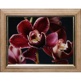 Картина Сваровски "Цветок орхидеи"