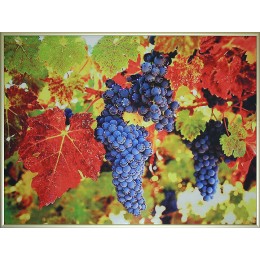 Картина с кристалами Swarovski "Гроздь винограда"