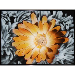 Картина с кристалами Swarovski "Контраст цвета-Хризантема"