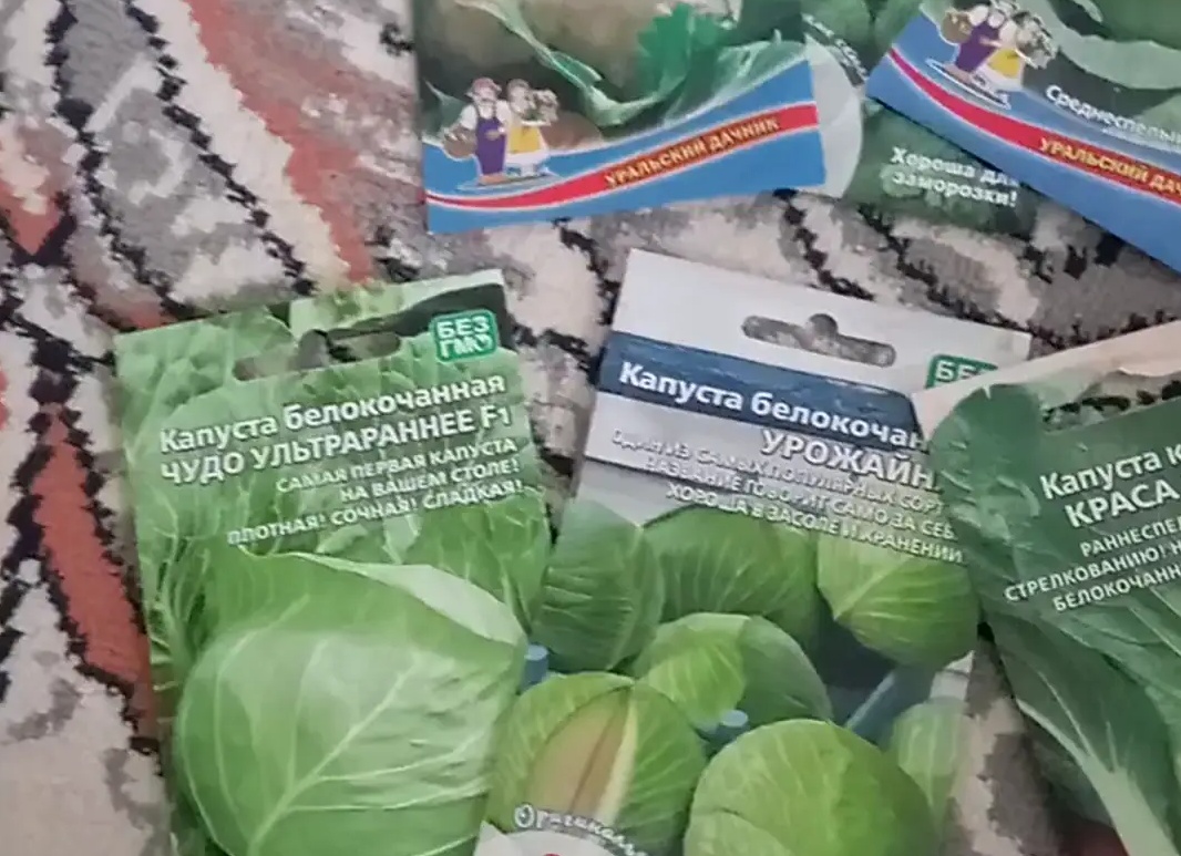 Королевская капуста брокколи — царский подарок... невесте!